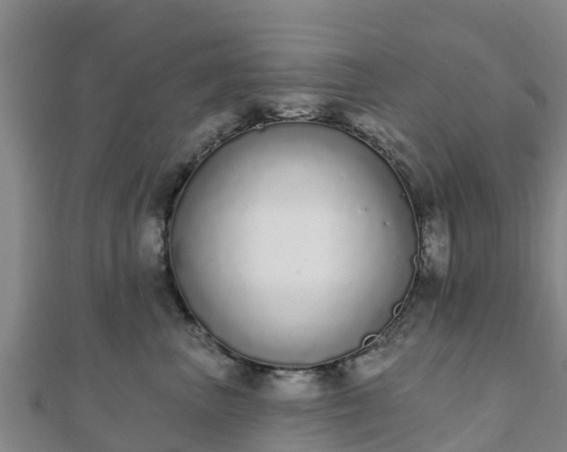 X0000110720667200906191507