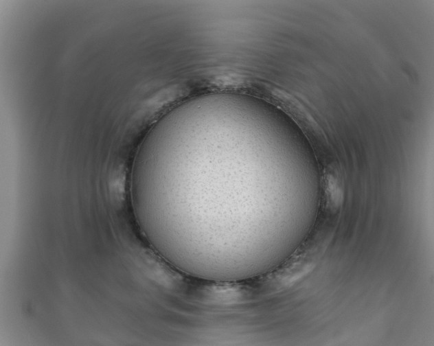 X0000110720668200906191507