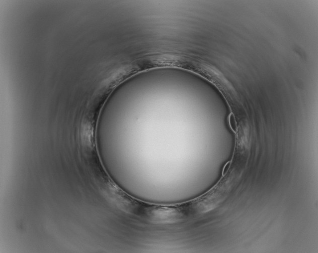 X0000110720669200906191507