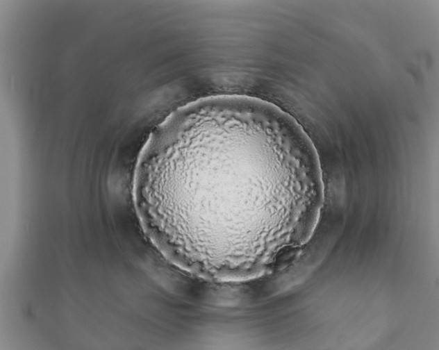 X0000110720671200906191507