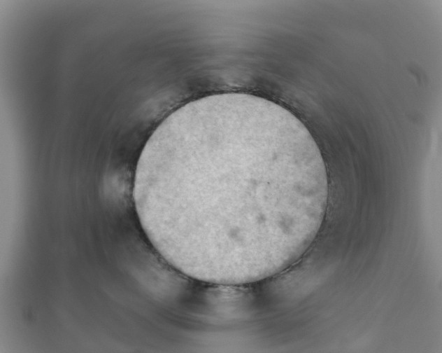 X0000110720672200906191507