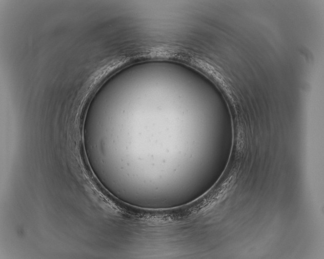 X0000110720673200906191506