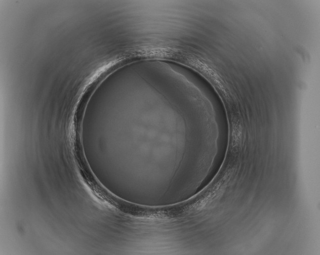 X0000110720674200906191506