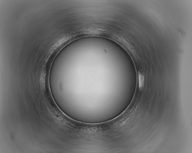 X0000110720675200906191506