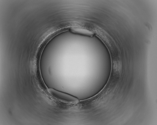 X0000110720676200906191506