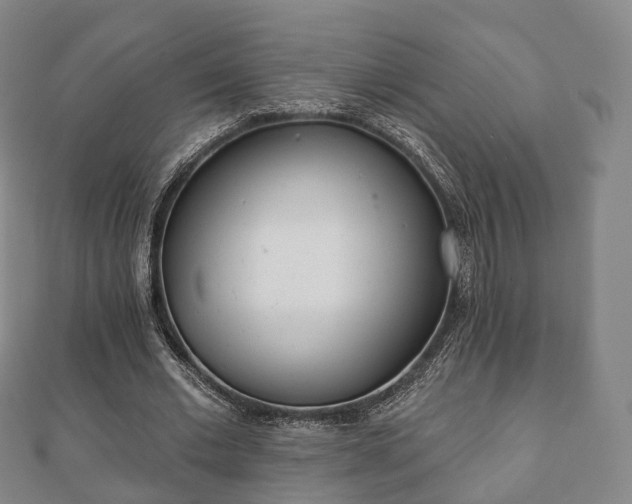 X0000110720677200906191506
