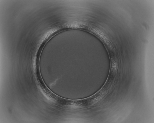 X0000110720678200906191506