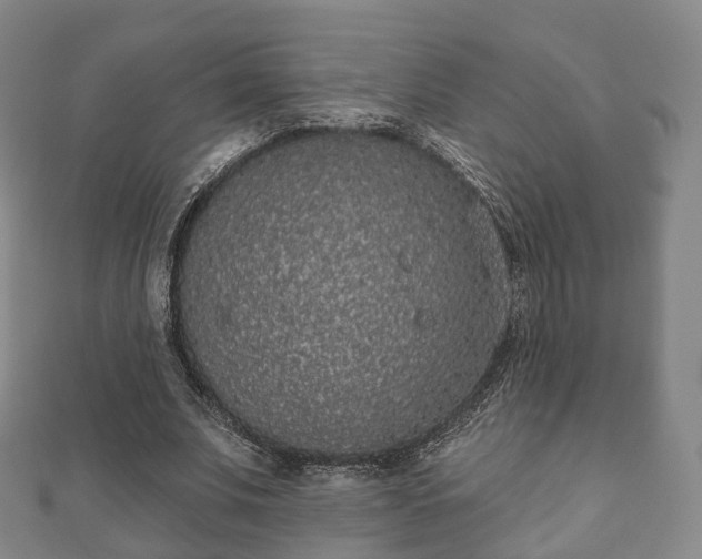 X0000110720679200906191506