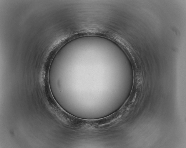 X0000110720680200906191506