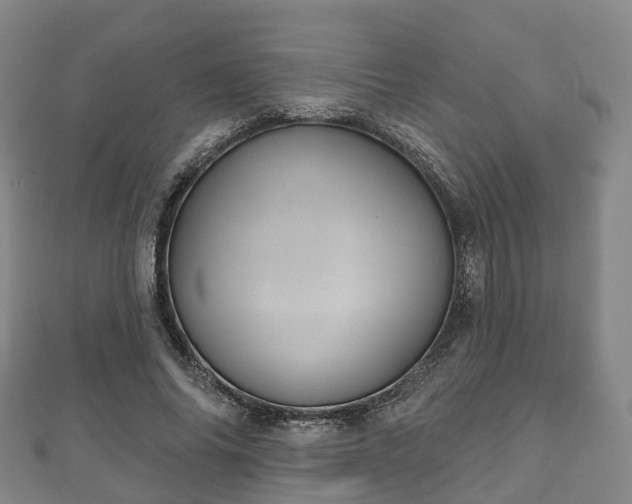 X0000110720686200906191506