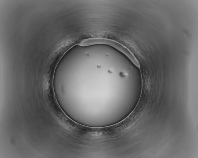 X0000110720687200906191506
