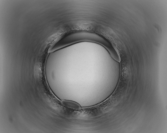 X0000110720688200906191506
