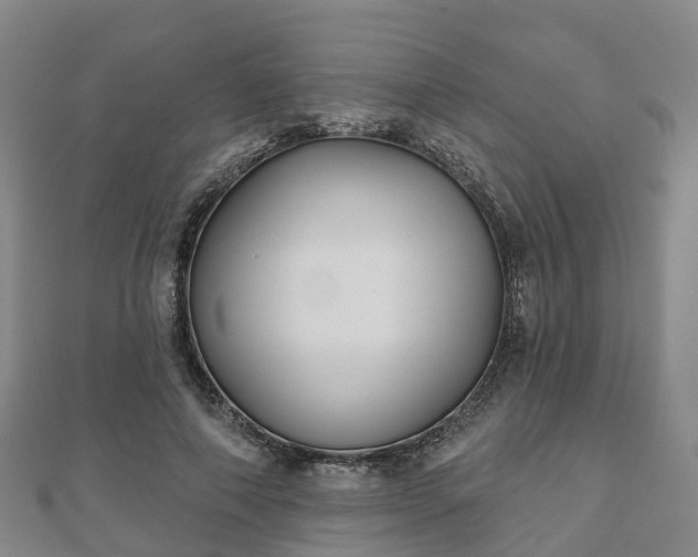 X0000110720690200906191506