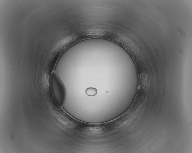 X0000110720692200906191506