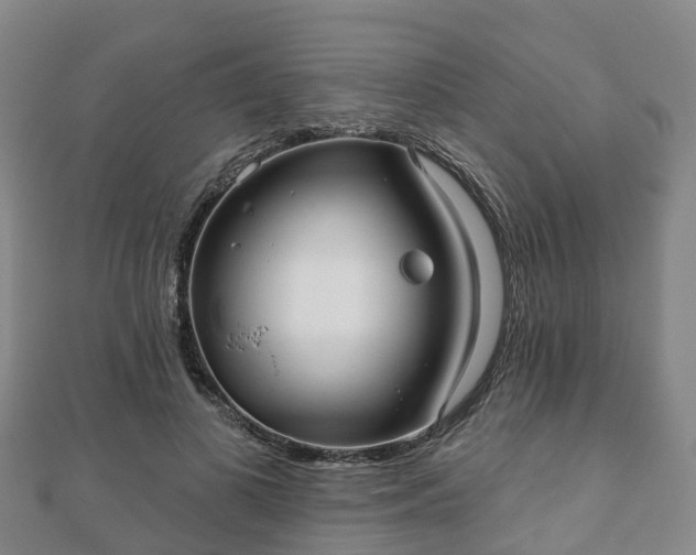 X0000110720693200906191506