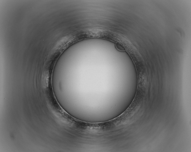 X0000110720694200906191506