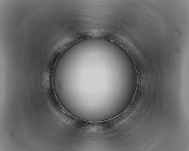 X0000110720696200906191506
