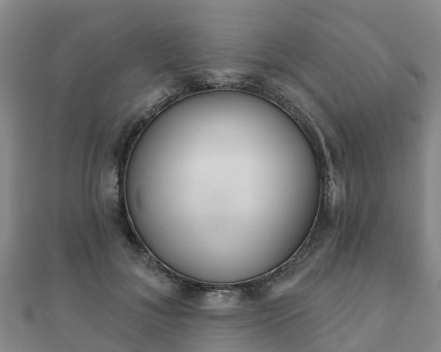 X0000110720700200906191506
