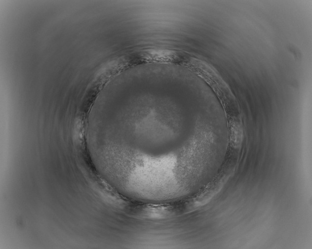 X0000110720701200906191506