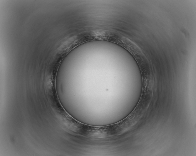 X0000110720702200906191506