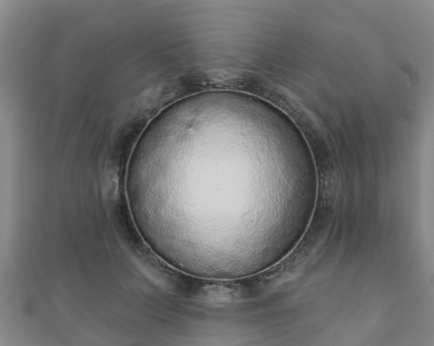 X0000110720703200906191506