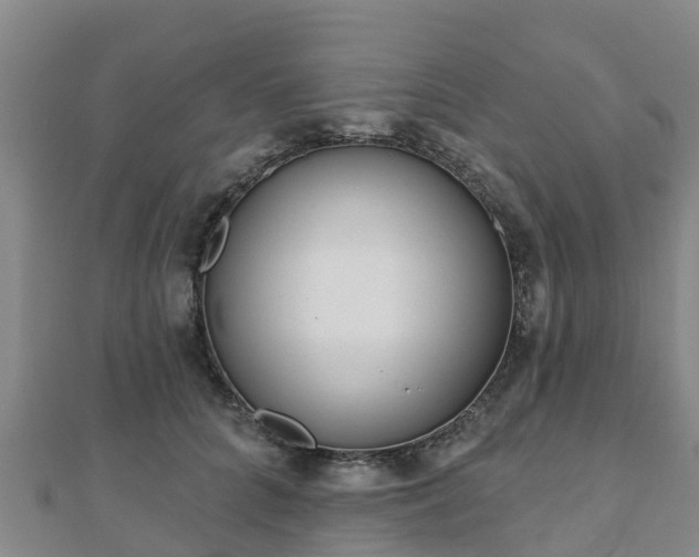 X0000110720704200906191506