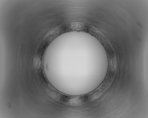 X0000110720705200906191506