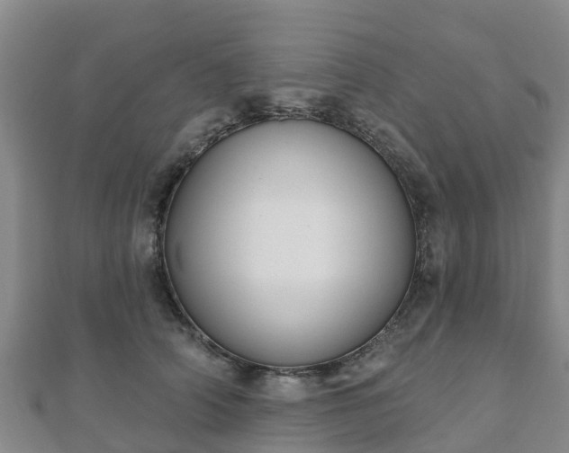 X0000110720706200906191506