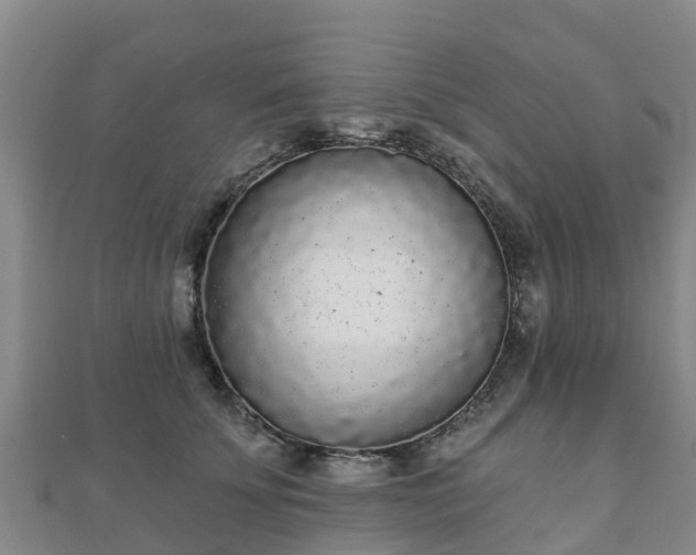 X0000110720707200906191506