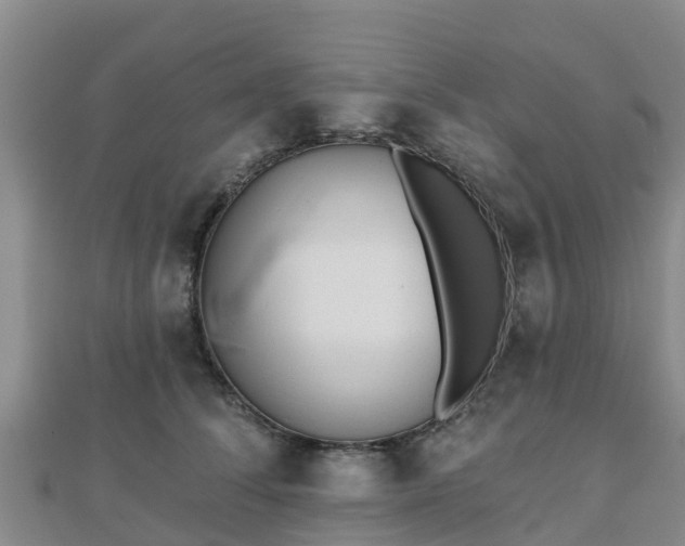 X0000110720708200906191506