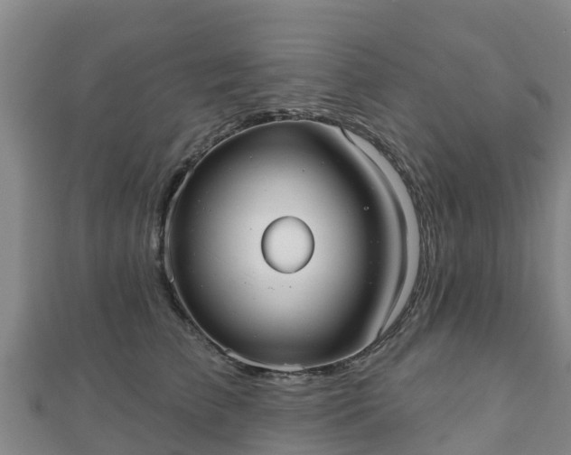 X0000110720709200906191506