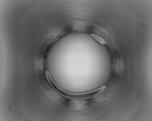 X0000110720712200906191506
