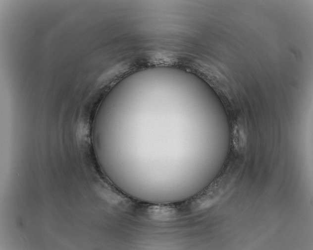 X0000110720714200906191506