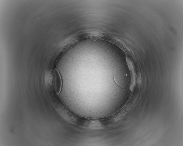 X0000110720715200906191506