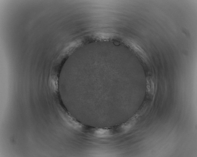 X0000110720718200906191506