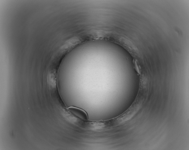 X0000110720719200906191506