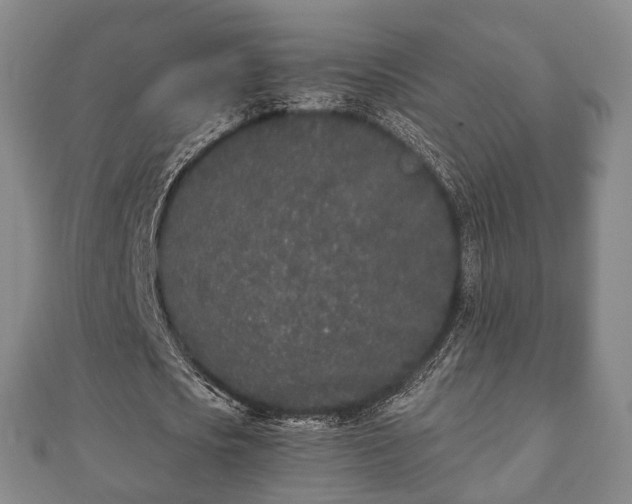 X0000110720721200906191505