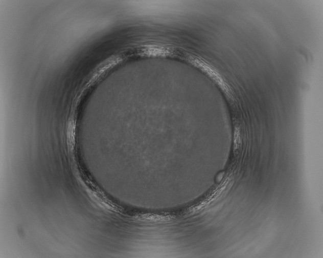 X0000110720722200906191505
