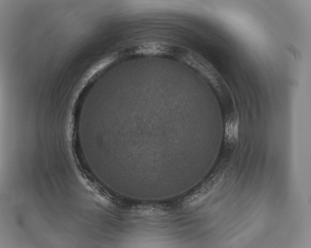X0000110720724200906191505