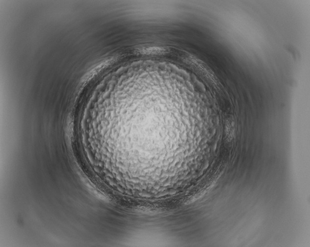 X0000110720725200906191505