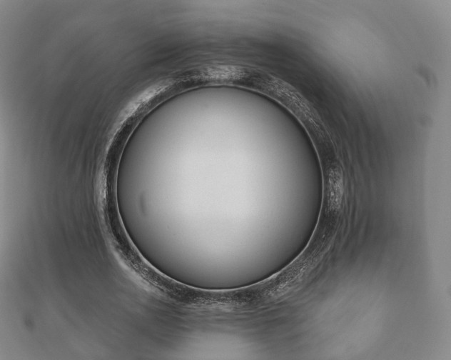 X0000110720726200906191505