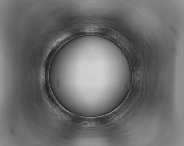 X0000110720727200906191505