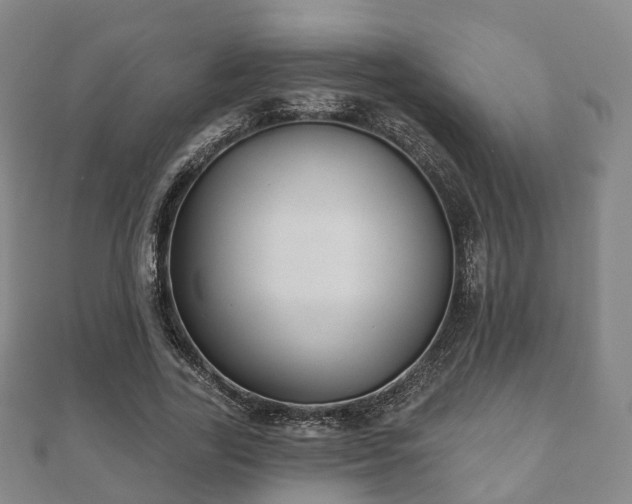 X0000110720731200906191505