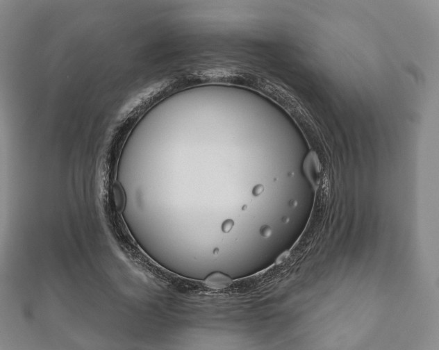 X0000110720732200906191505