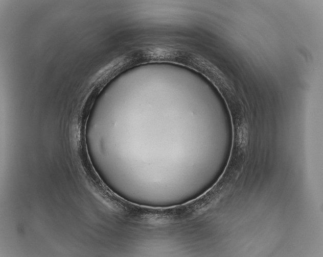 X0000110720733200906191505
