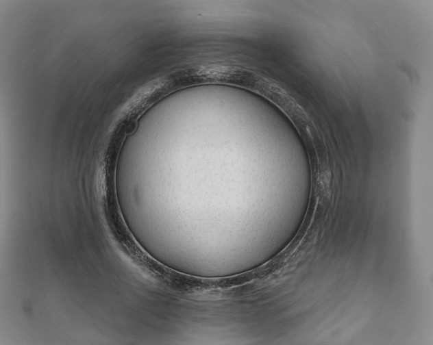 X0000110720734200906191505