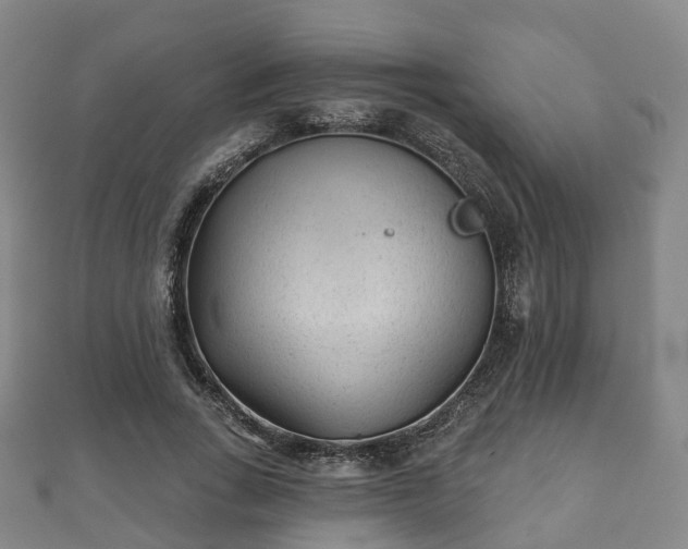 X0000110720735200906191505