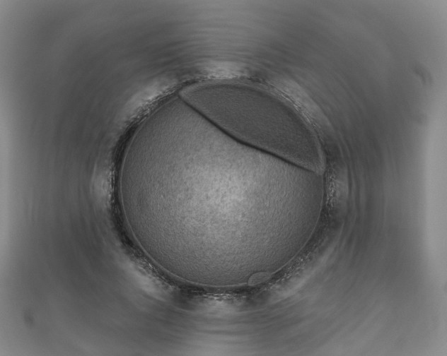 X0000110720736200906191505