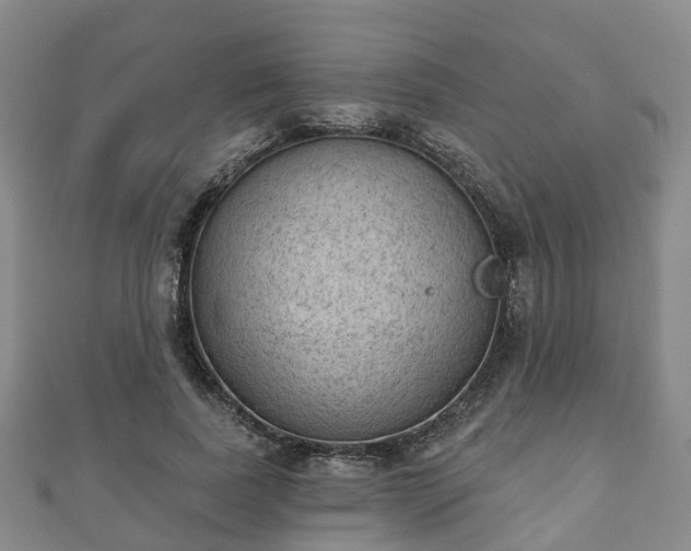 X0000110720739200906191505