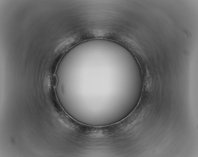 X0000110720740200906191505